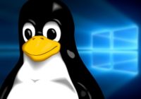 Windows 10 with Tux (Linux)
